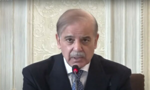 وزیراعظم نے بجلی کی سرکاری پیداواری کمپنیوں کی کیپیسٹی پیمنٹ پر سوال اٹھادیا