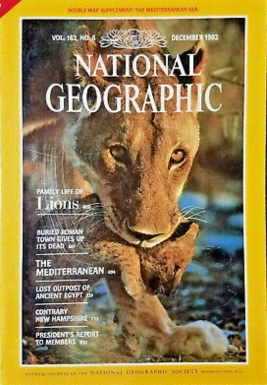 National Geographic 1980–2018, 99% complete and in good condition. | in ...