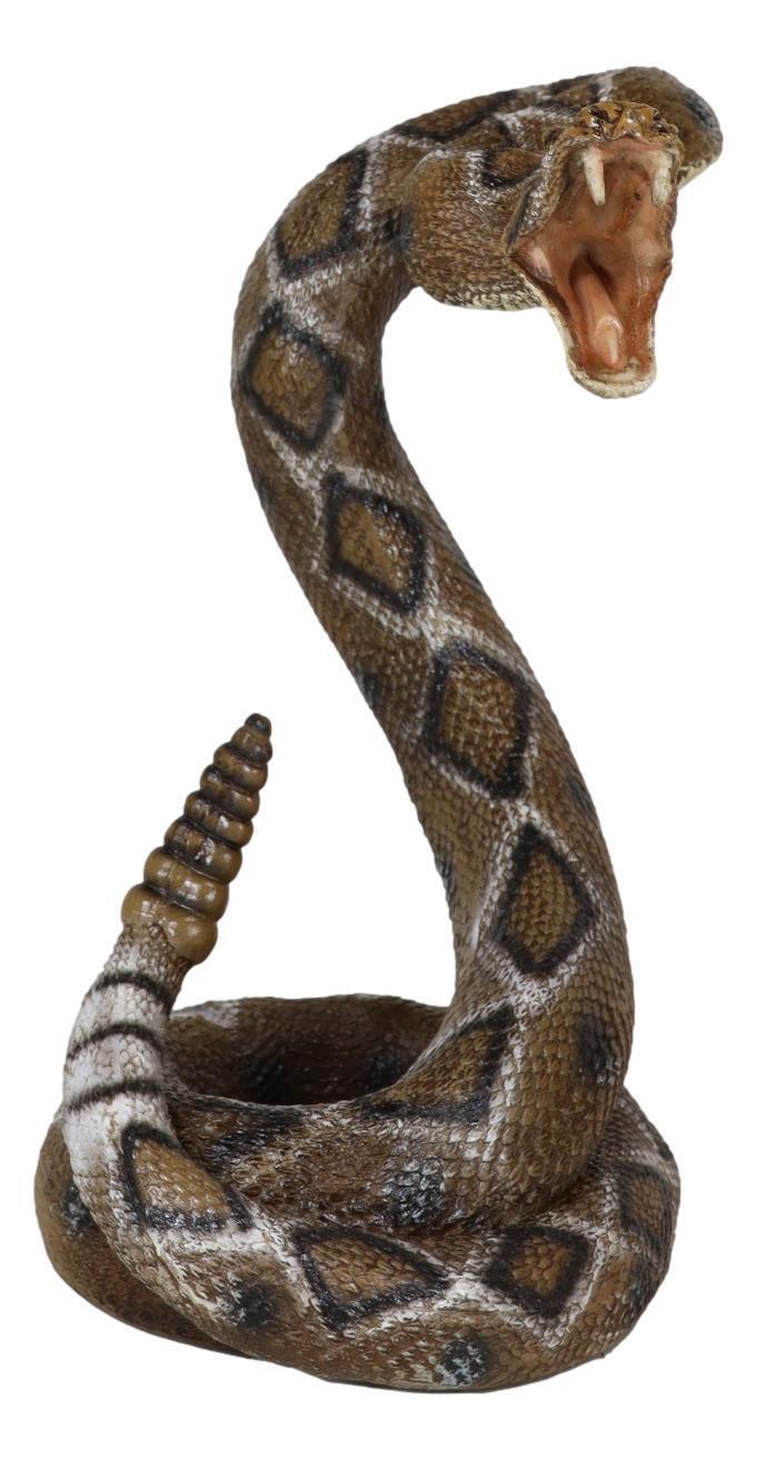 Realistic Attacking Coiled Diamondback Rattlesnake With Fangs Bared ...