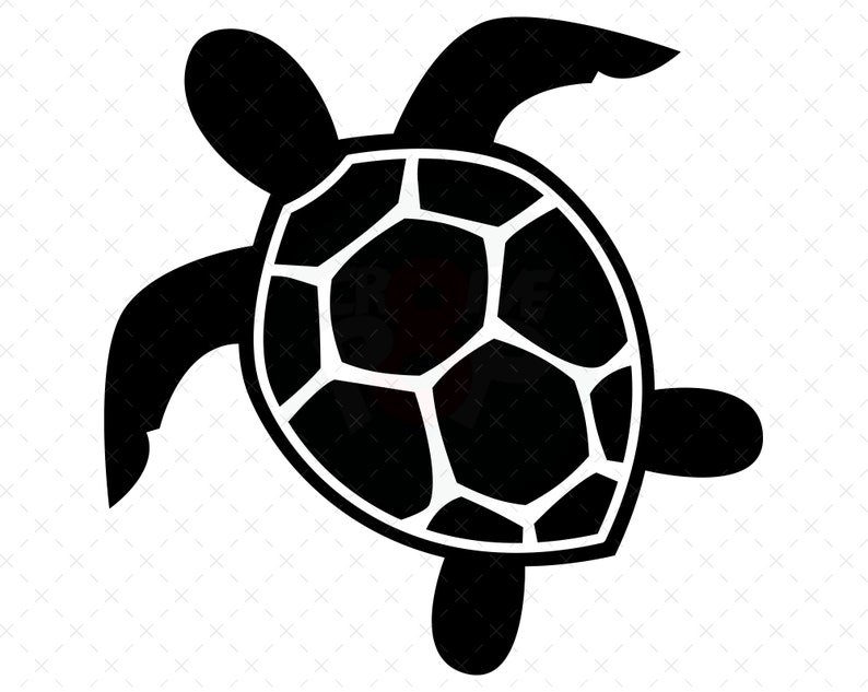 Turtle Svg, Sea Turtle Svg, Turtle Clipart, Ocean Svg, Turtle Png ...