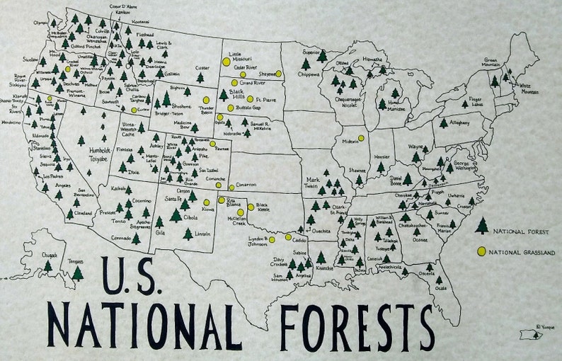 Navigating Nature’s Treasures: A Comprehensive Guide To National Parks ...