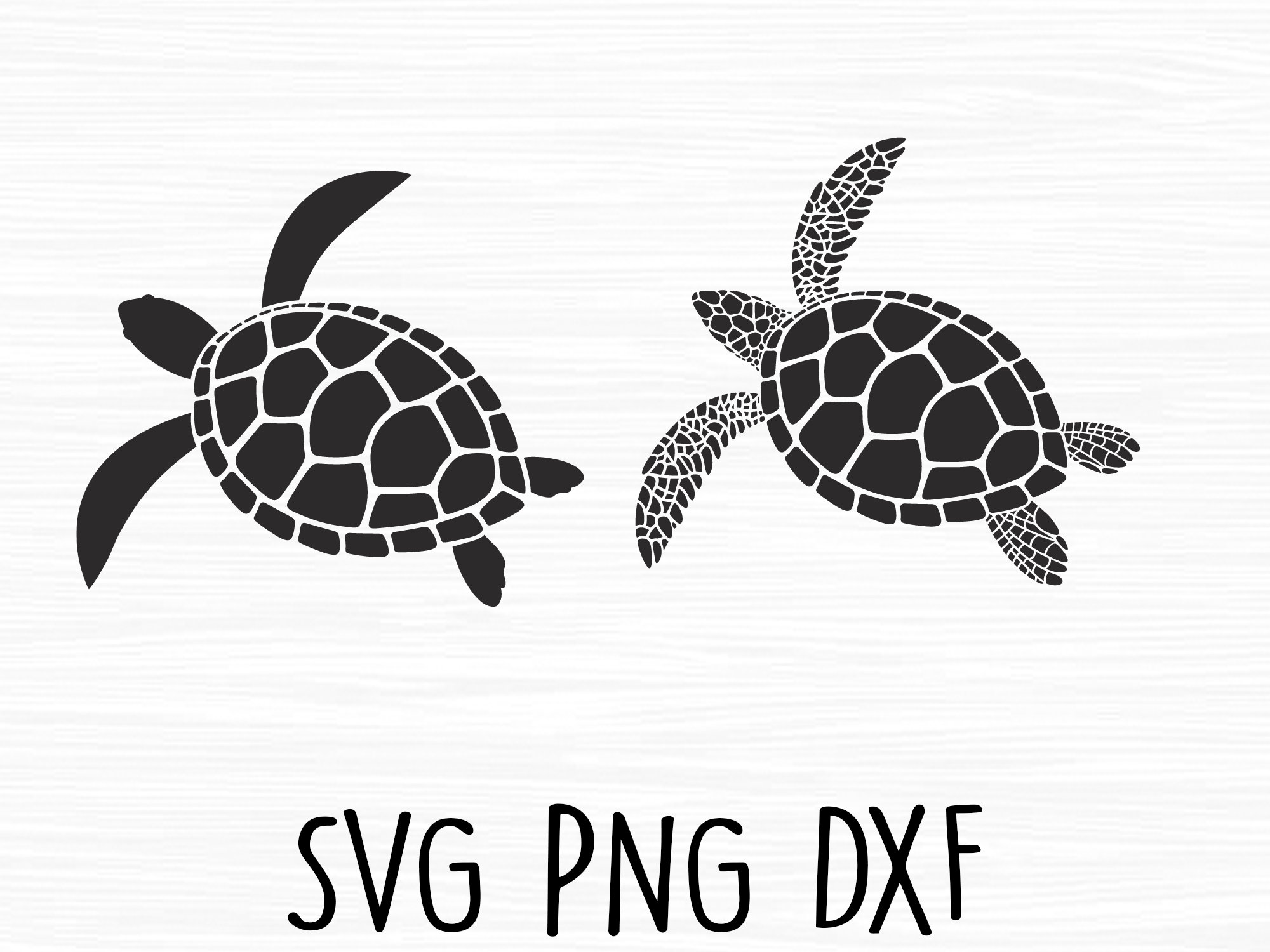 Turtle Svg Turtle Cut File Turtle Silhouette Turtle Cricut - Etsy Canada