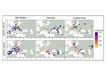 Study Reveals Genetic and Linguistic Roots of Indo-European Populations