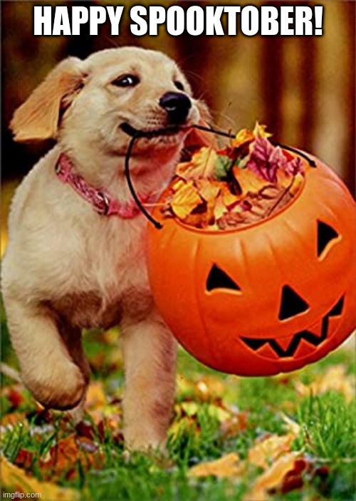 Halloween doggo - Imgflip