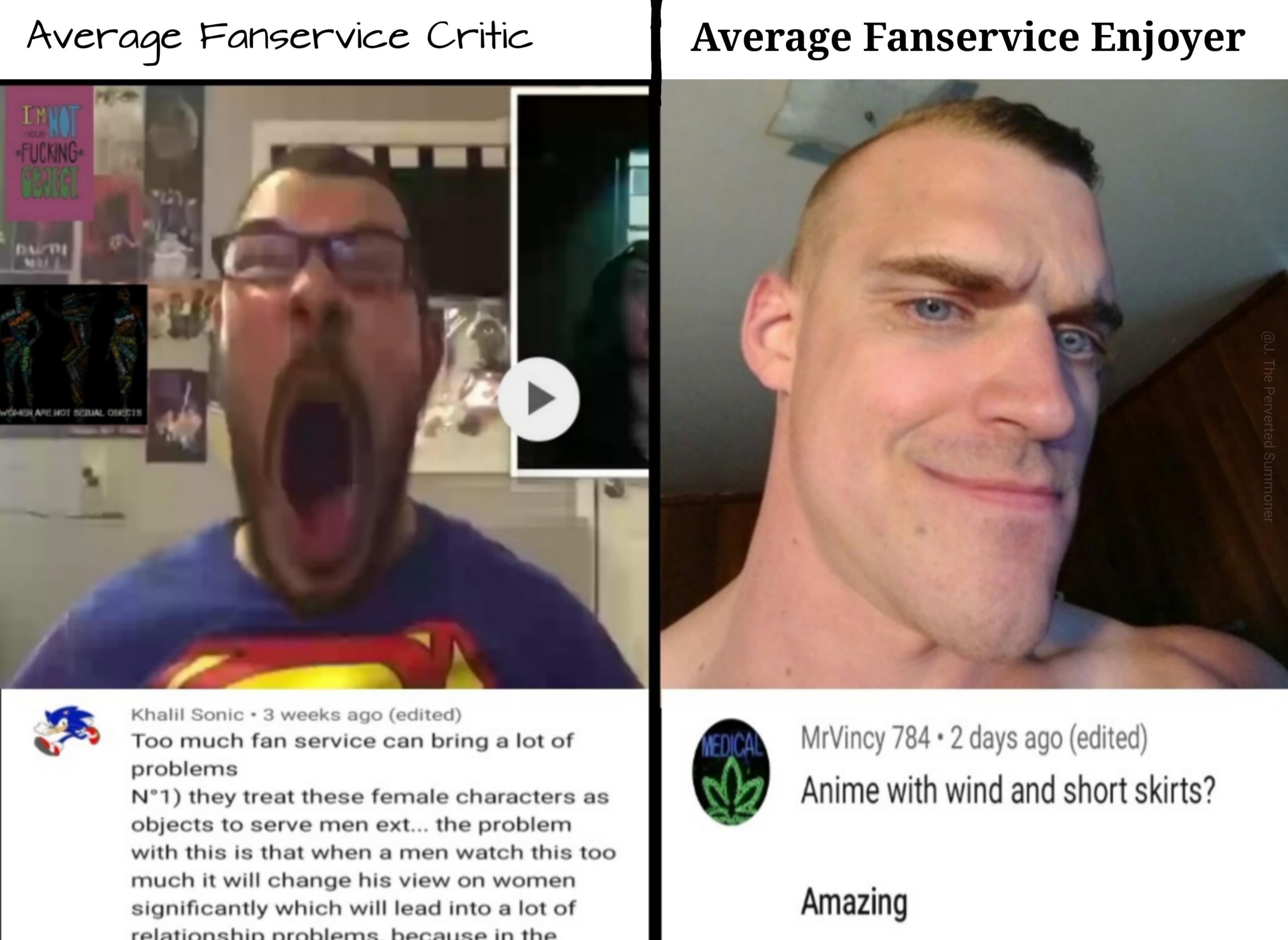 average fan vs average enjoyer meme template Average enjoyer vs fan ...