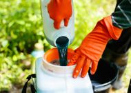 Pesticides : pourquoi la France n’a pas réussi à réduire leur usage