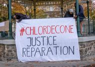 Chlordécone : vers la reconnaissance de la responsabilité de l’État ?