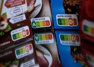 Danone a-t-il raison de critiquer le Nutri-Score ?