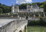 Forêt : au château d’Ussé, des crédits carbone pour limiter les coupes rases