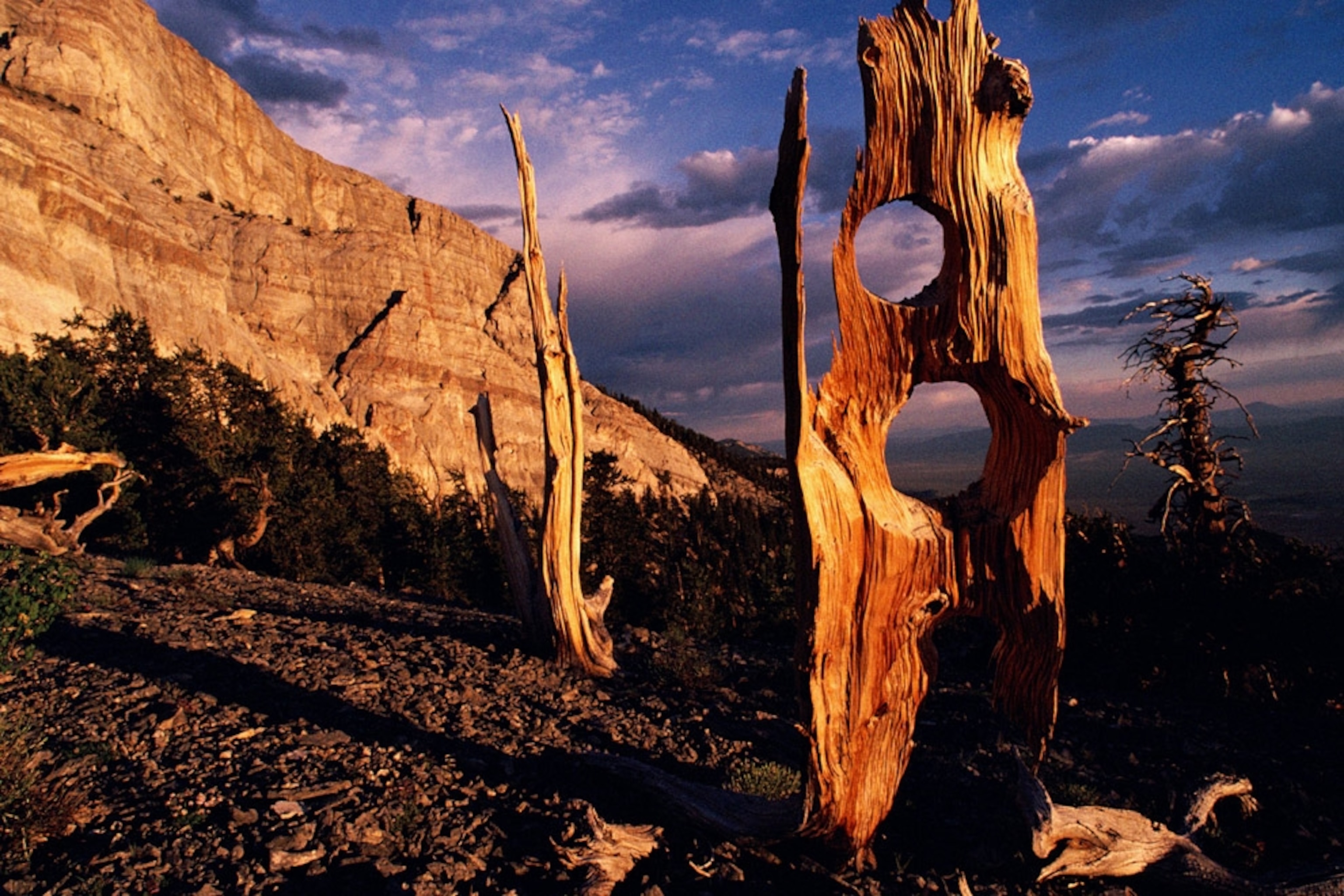 Weathering And Erosion Examples