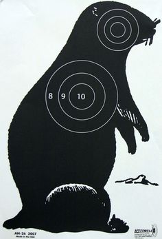 Cardboard Animal Targets | Animal Targets | Life size games, Shooting ...