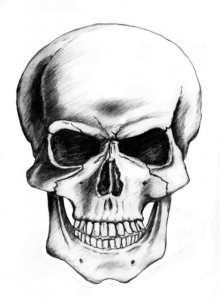 Skull Drawing Dr. Odd Skull drawing, Skulls drawing, Art