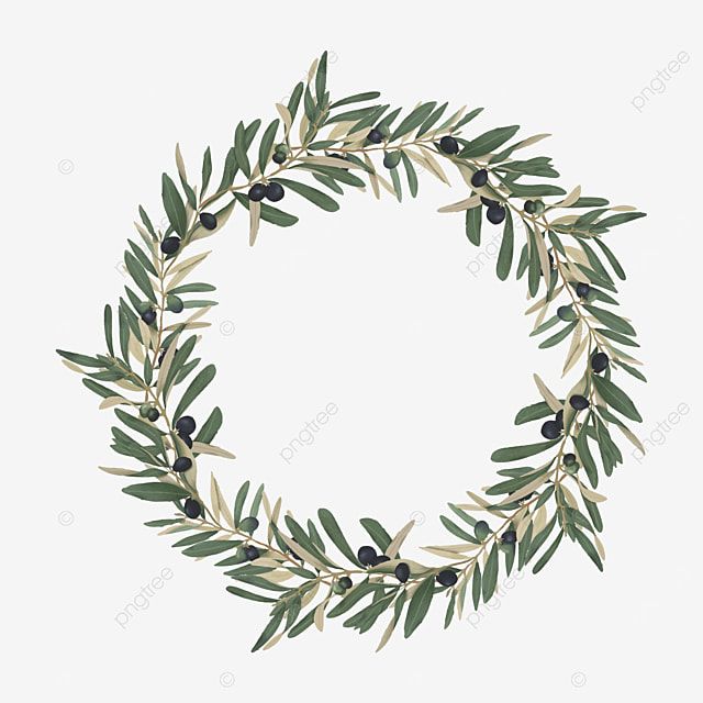 Olive Leaf Watercolor Vector PNG Images, Olive Leaf Frame Watercolor ...