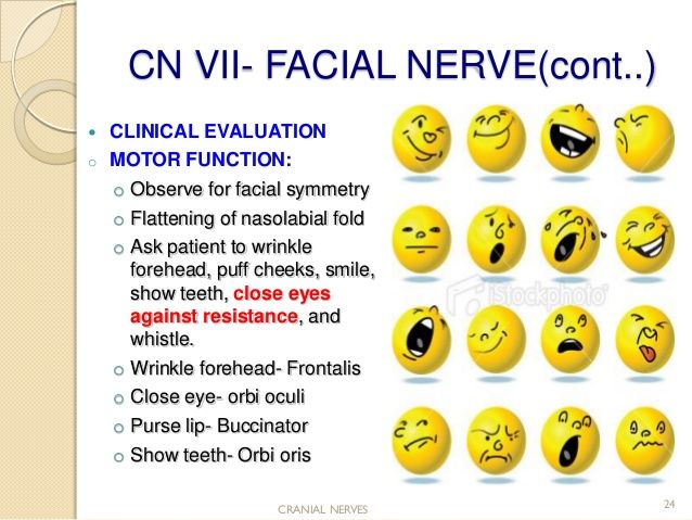 Cranial nerve assessment..Simple and Easy to perform for medics and P ...