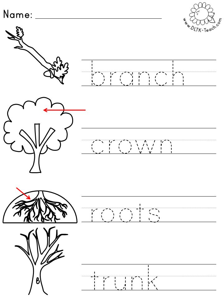 DLTK's Template Printing | Preschool learning, Printables kids, Templates