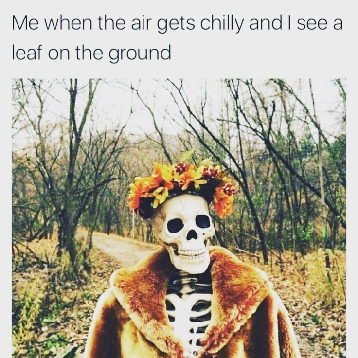 Yes!! 🍂🍁 I’ve been ready for fall all month long! 😜 | Halloween memes ...