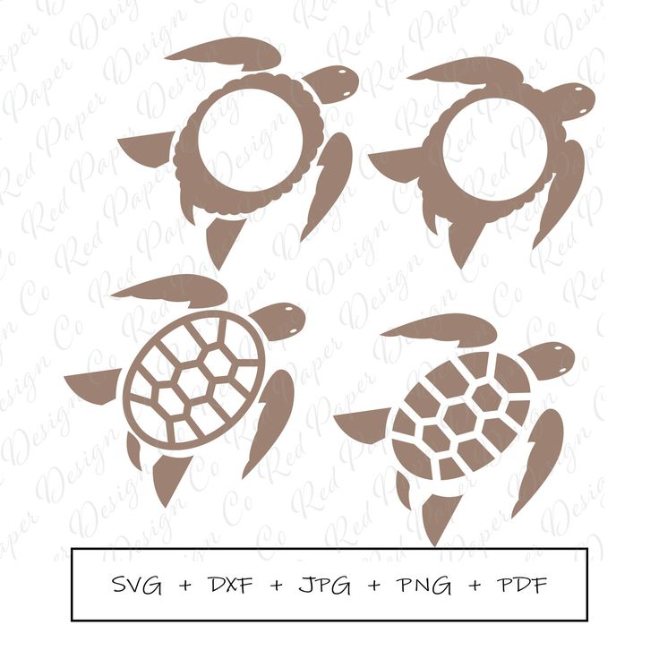 Sea Turtle Monogram Frame SVG JPG DXF Sea Turtle Clipart - Etsy ...