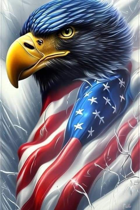 Pin by Chrissy dixon on 3d | Eagle images, America flag wallpaper ...