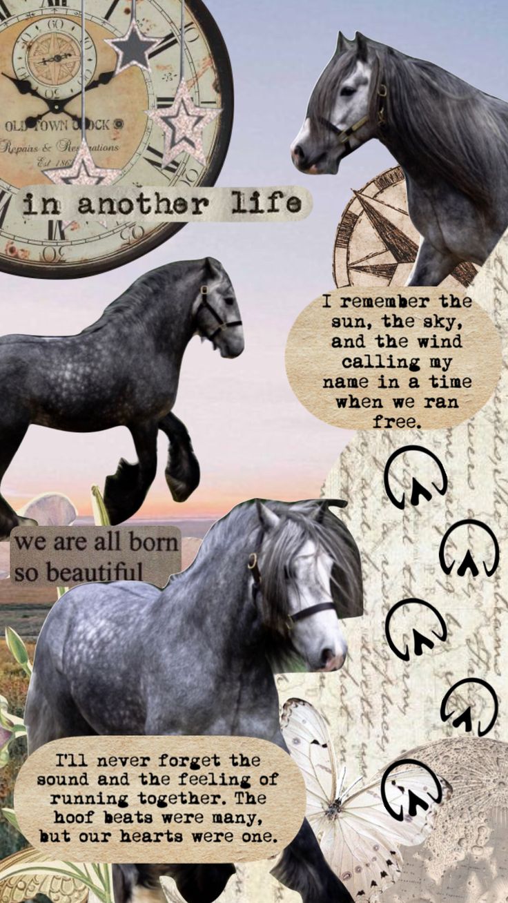 #horse #therian #spirit #free | What animal are you, Horses, Band nerd