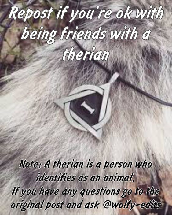 Are any Therians on here? I need some Therian friends! in 2023 ...