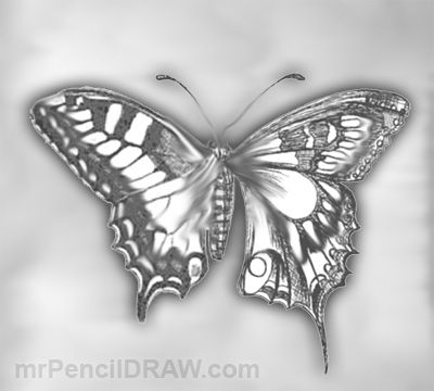  BUTTERFLY - DONE IN PENCIL Pencil drawings Butterfly sketch Cool 