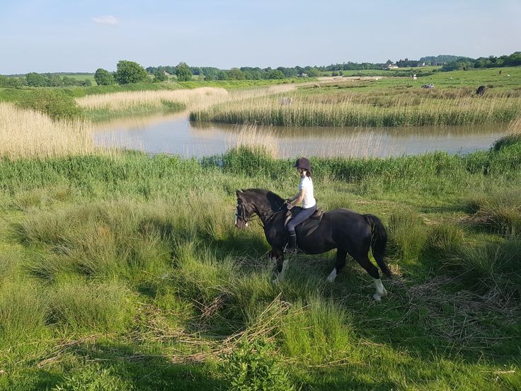 Countryside horse riding | Country roads, Riding stables, Horses