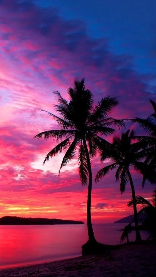 Tropical Beach Sunset with Palm Trees