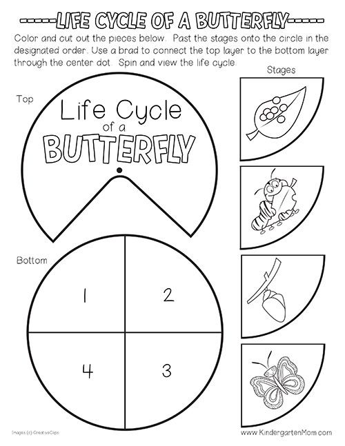 Free Butterfly Life Cycle Printables. This set includes a colorful life ...