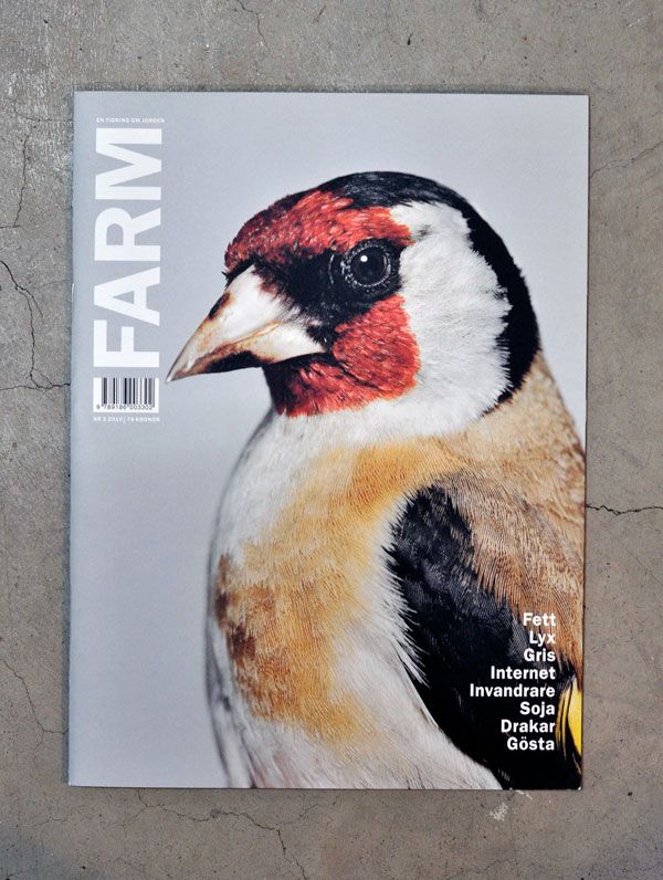 Magazine Layout Design, Magazine Cover Design, Magazine Layouts, Fauna ...