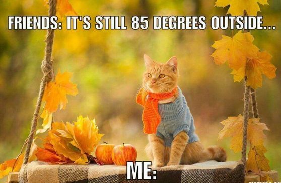 Making Us Laugh This Week | 11 Memes For Anyone Ready For Fall | Fall ...