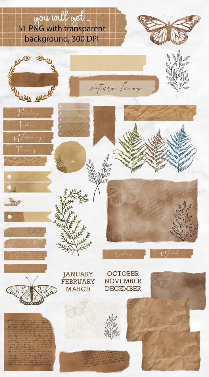 junk journal clipart collection old vintage paper fern