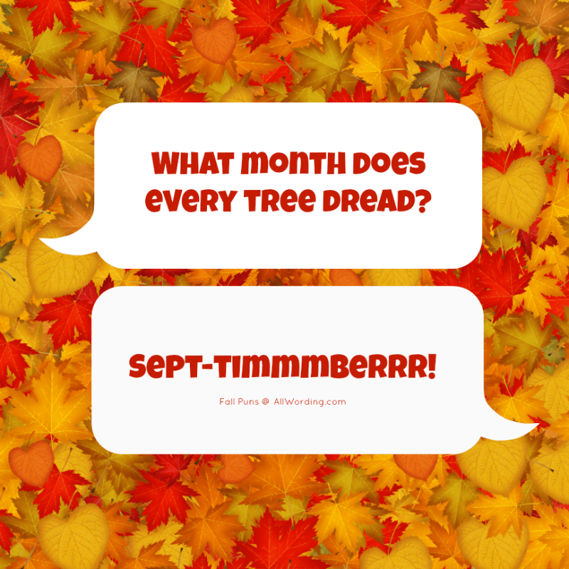 What month does every tree dread? Sept-timmmberrr! #fallpuns Cute ...