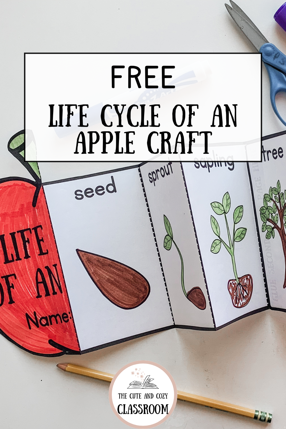 Free Life Cycle of an Apple Craft: A Fun and Educational Way to Learn ...