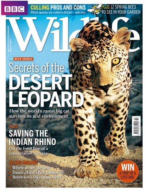 BBC Wildlife Magazine cover Zoo Magazine, Science Magazine, Magazine ...