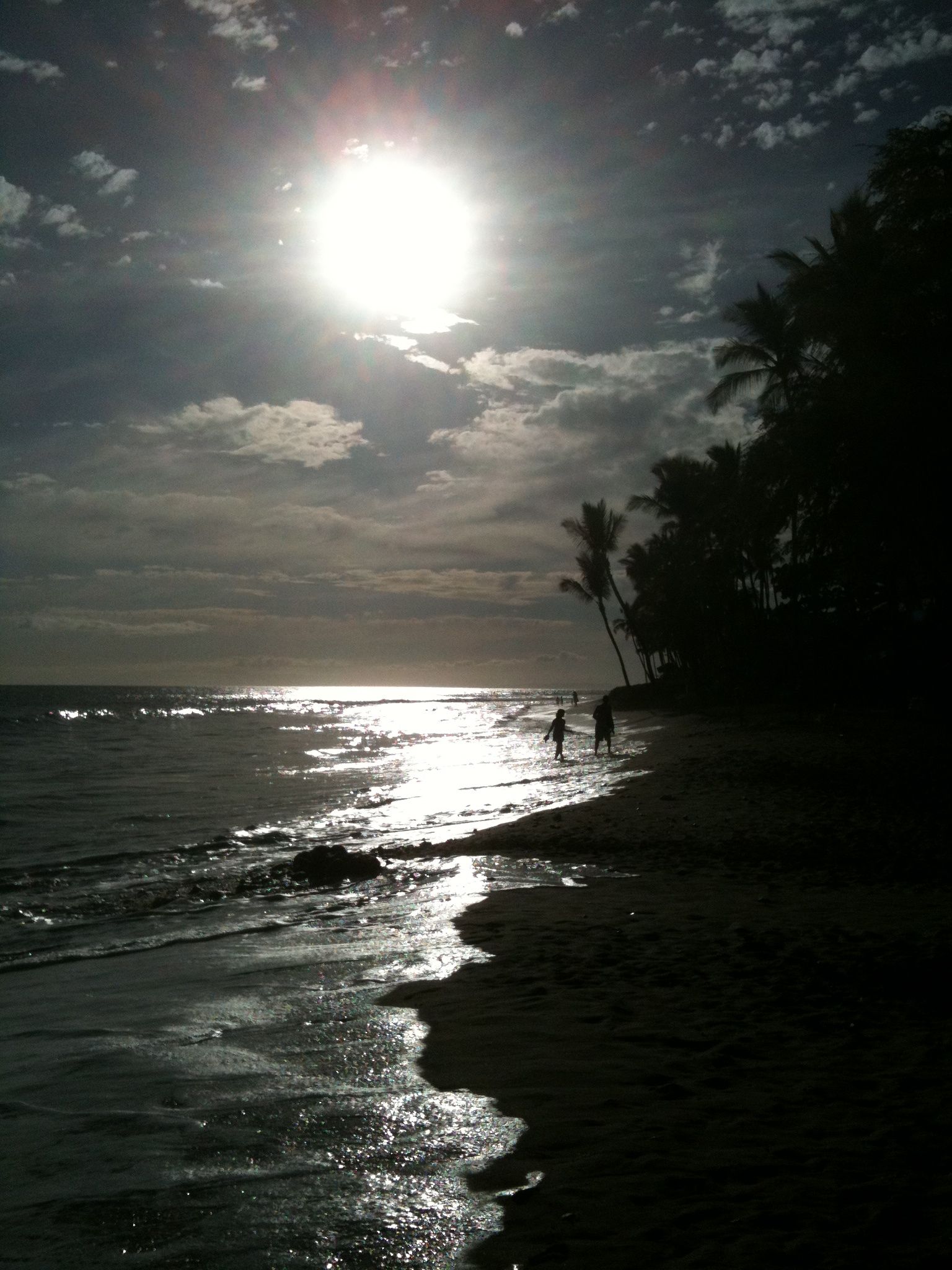 Moonlit Romantic Beach