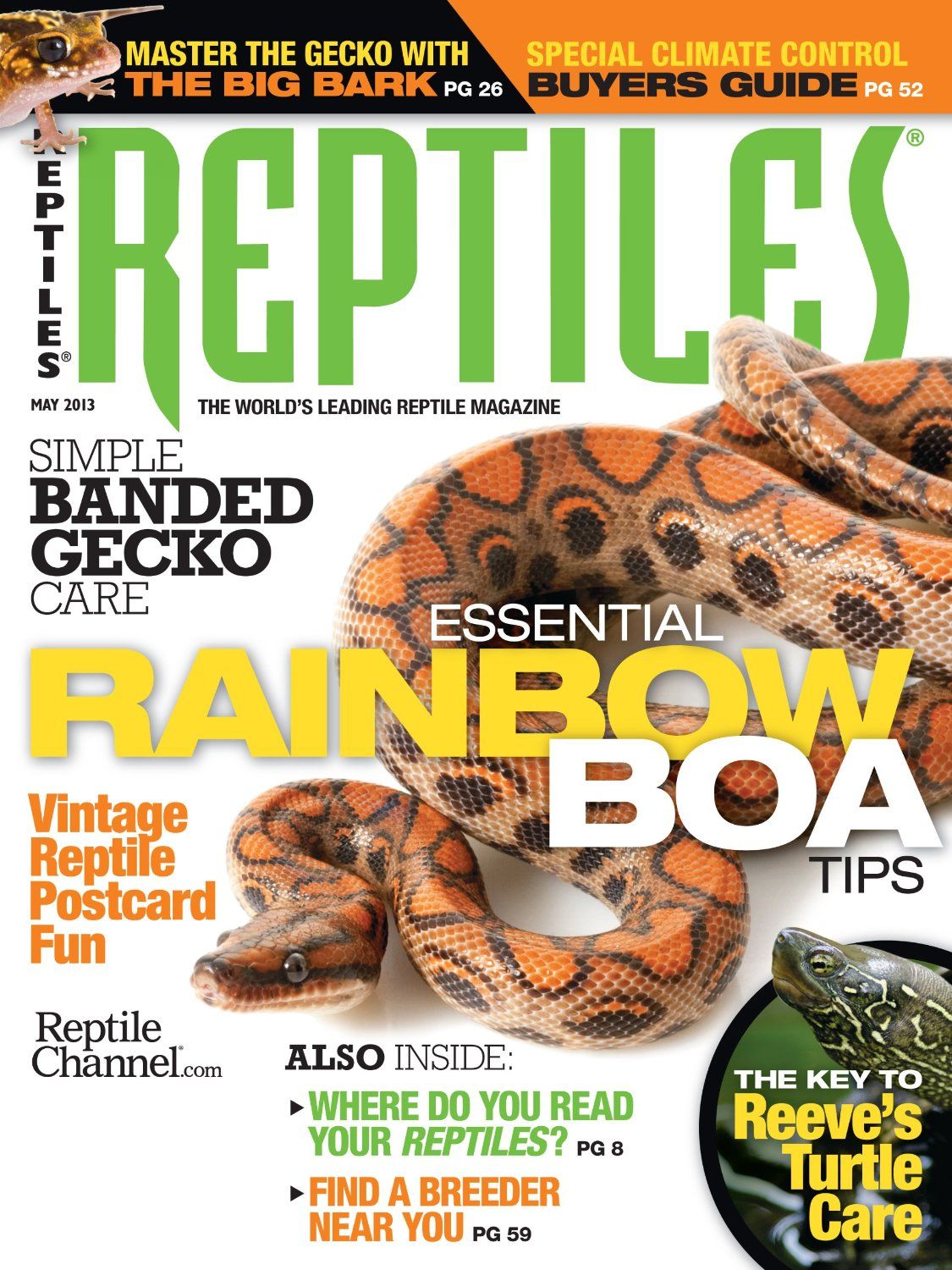 Reptile Care, Animal Magazines, Cool Magazine, Magazine Covers ...