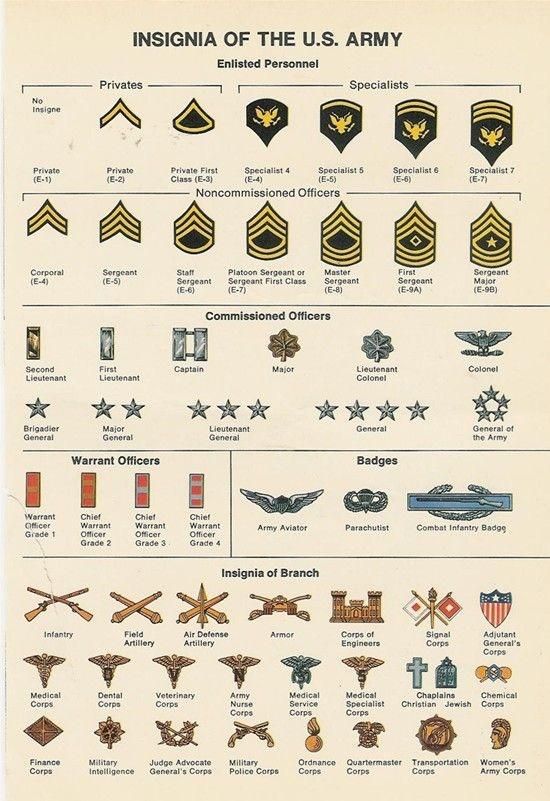 Insignia of the US Army guide : coolguides Army Life, Army Mom ...