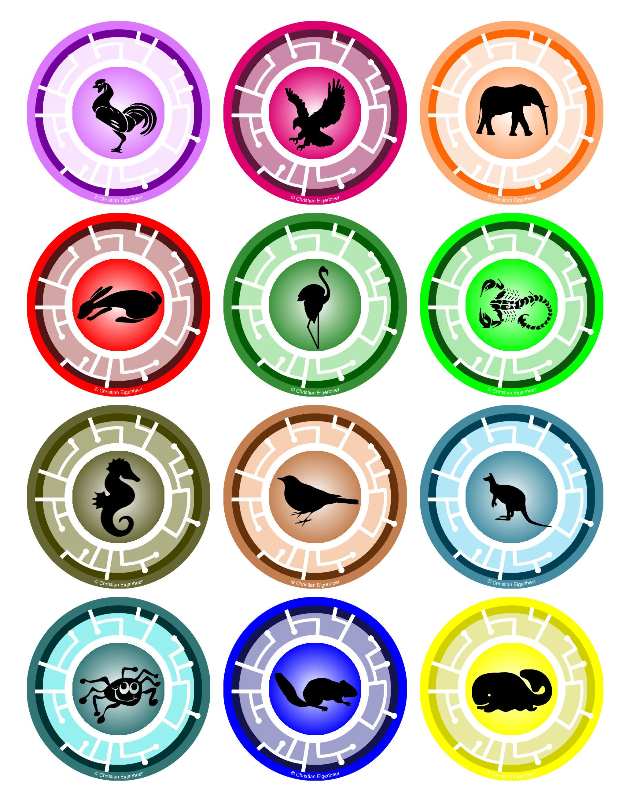 Wild Kratts Creature Power Disc Printable