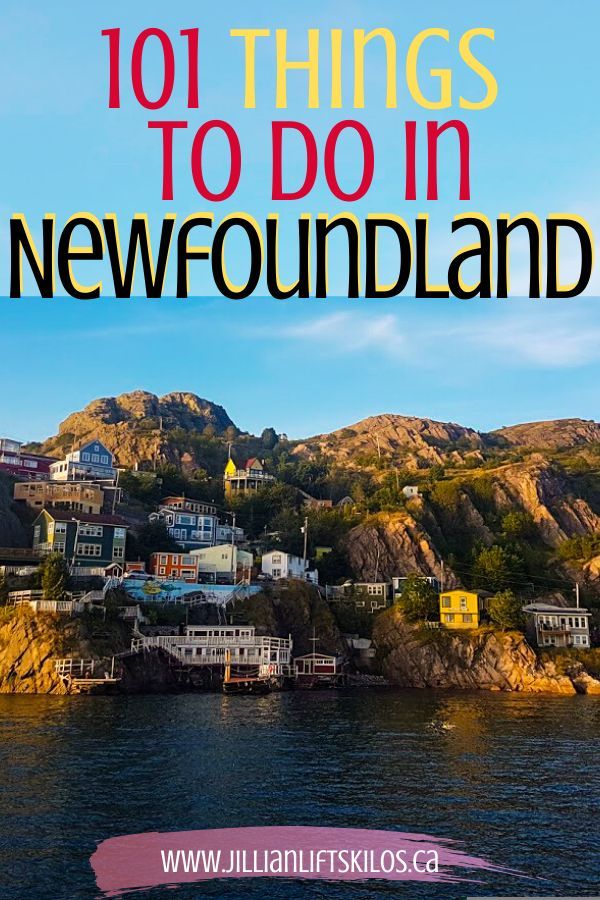 101+ Things to do in Newfoundland in 2020 (With images) | Newfoundland ...