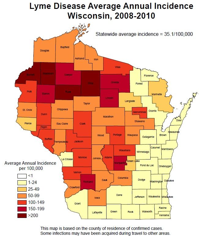 Lyme Disease ( Borrelia burgdorferi or B. mayonii) | Lyme disease, Lyme ...