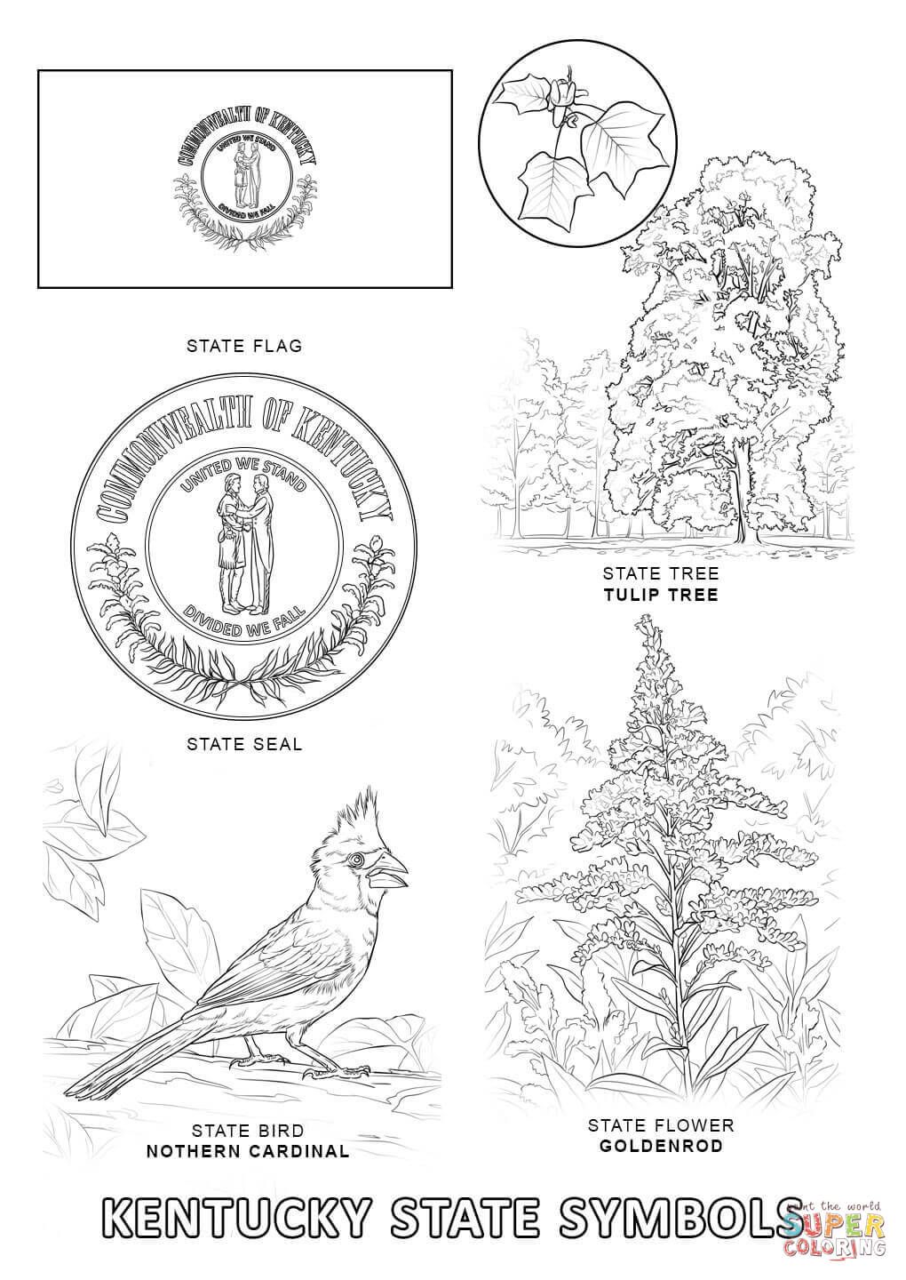 kentucky coloring pages printables Kentucky State Symbols Coloring page