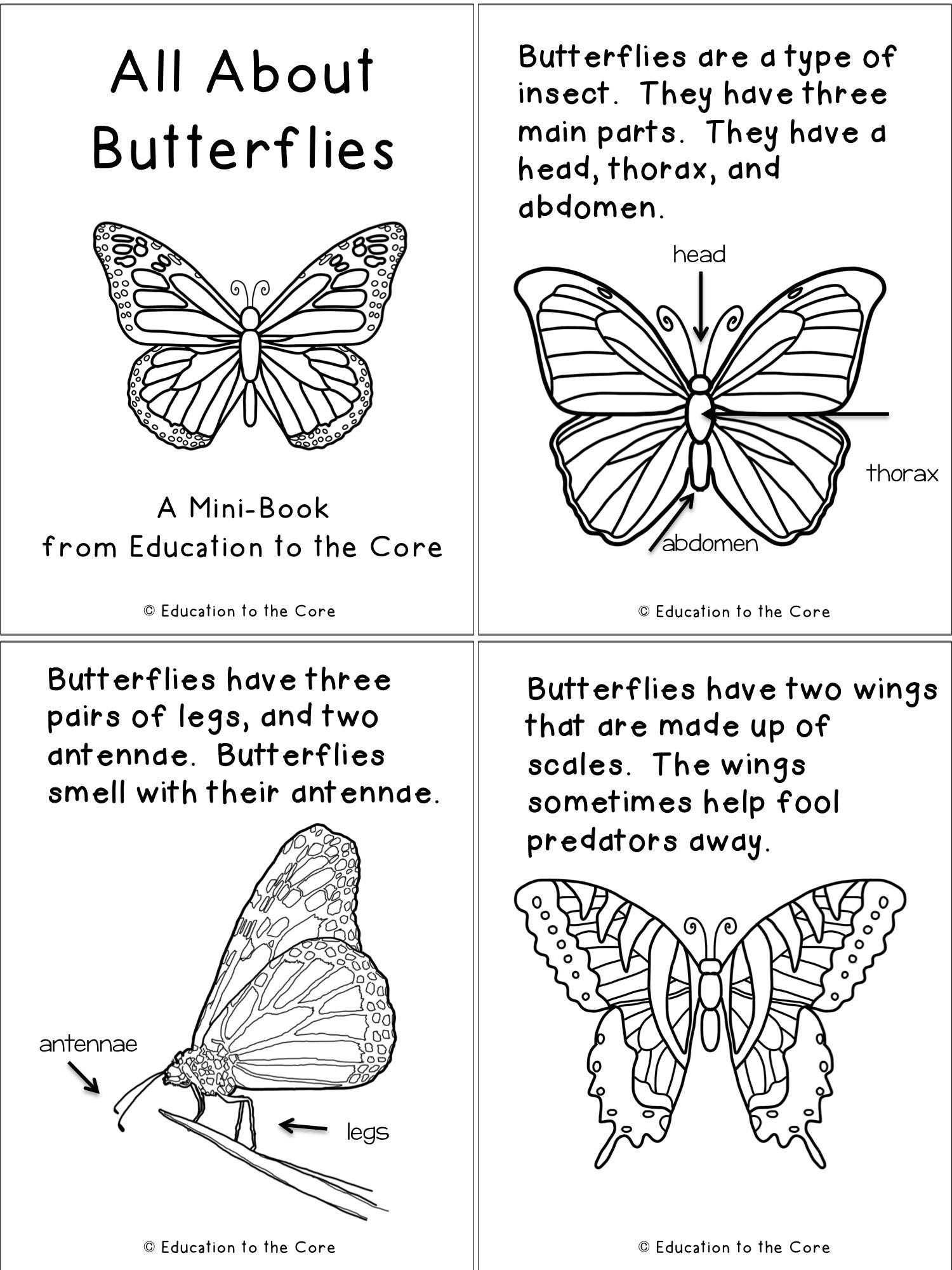 Butterfly life cycle mini book freebie – Artofit