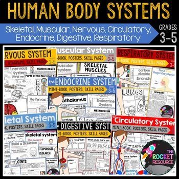 the human body systems bundle includes posters and activities to help ...