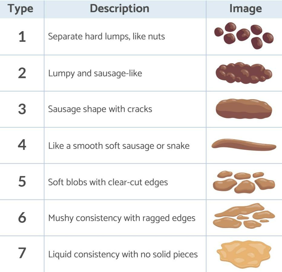 What your poop can tell you about your health – Artofit