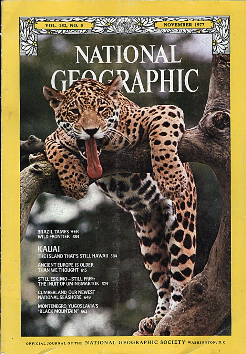 National Geographic | November 1977 at Wolfgang's | National geographic ...