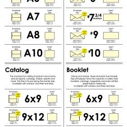 Envelope size chart infographic provided as a quick reference guide for ...