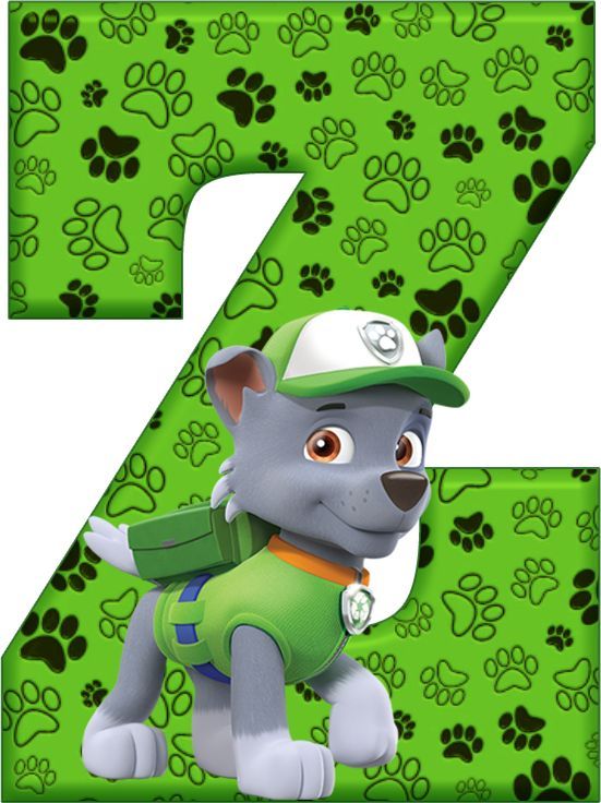 Z Paw Patrol - Rocky | Paw patrol decorations, Paw patrol birthday ...