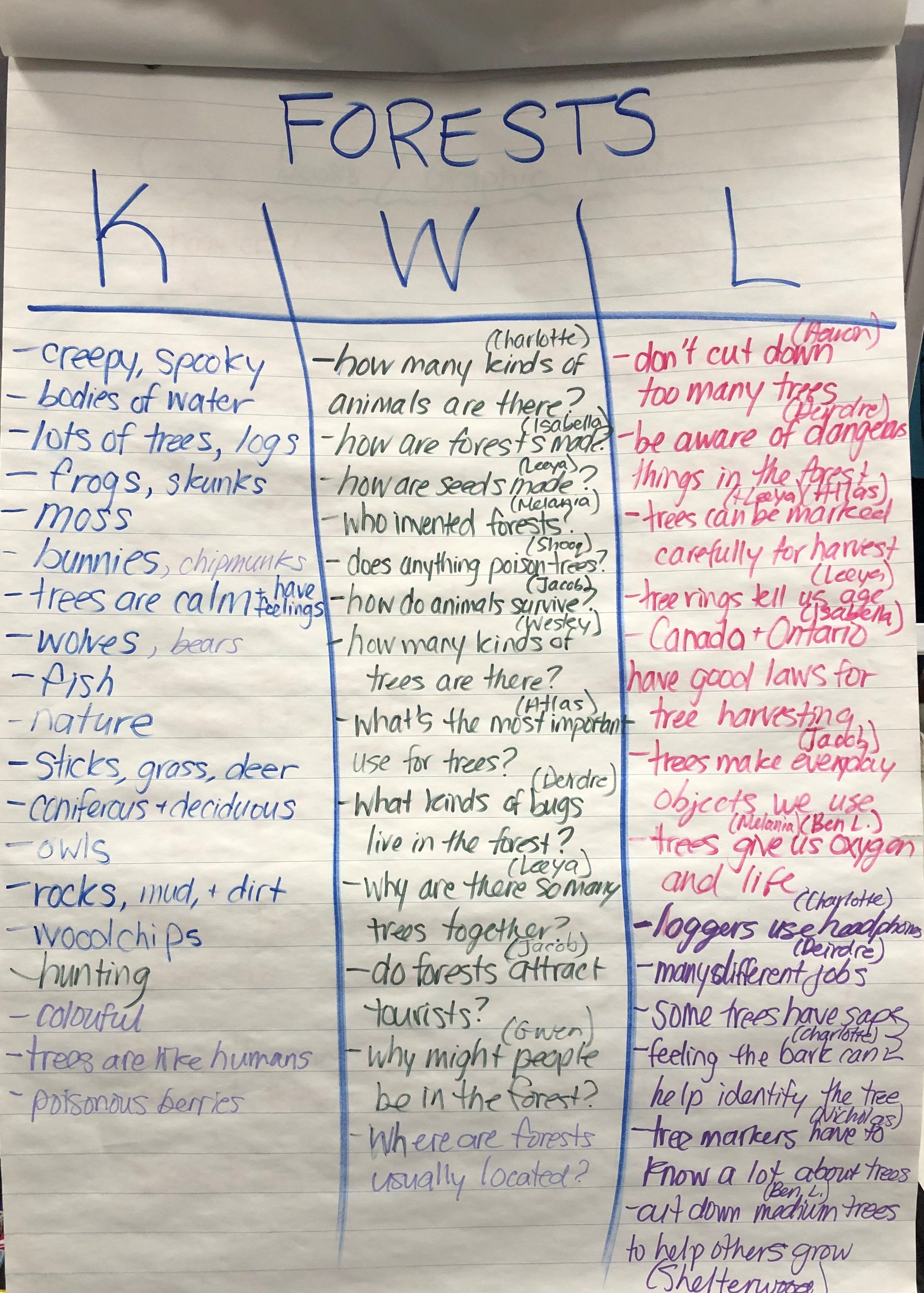 A Complete Guide To Understand Kwl Charts In Educatio - vrogue.co