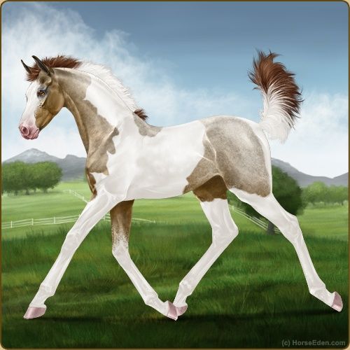 Horse Eden Eventing is an exciting online horse game. Come check us out ...