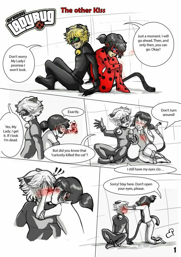 Prodigiosa: Las aventuras de Ladybug & Chat Noir … | Miraculous ladybug ...